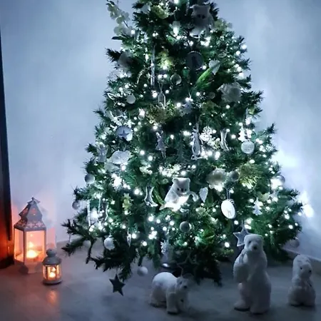 Bed & Breakfast Marselo 3*