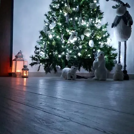 Bed & Breakfast Marselo